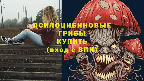 кокс Аркадак